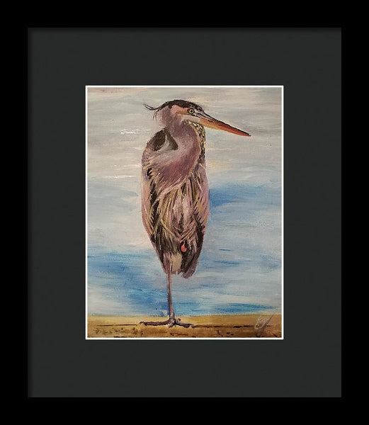 Custard Tries Meditation - Framed Print