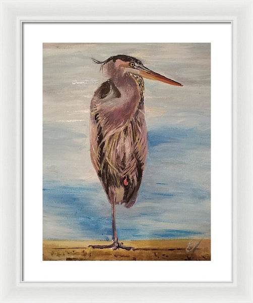 Custard Tries Meditation - Framed Print