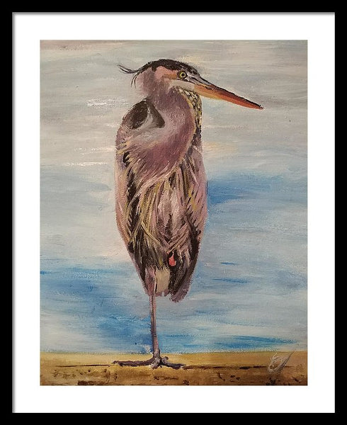 Custard Tries Meditation - Framed Print