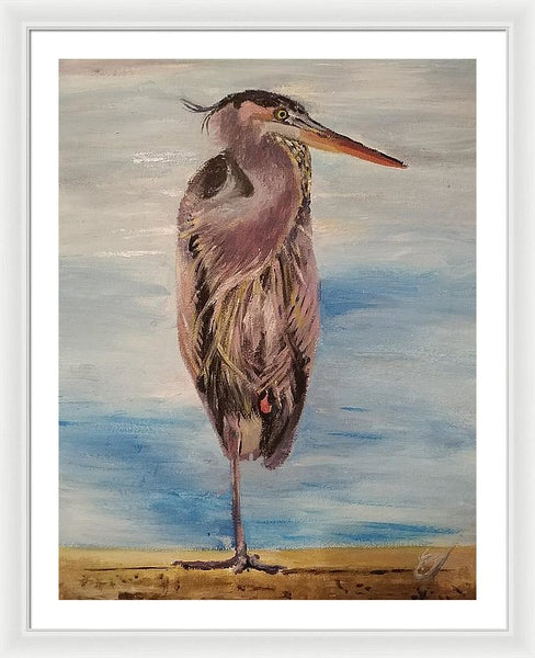 Custard Tries Meditation - Framed Print