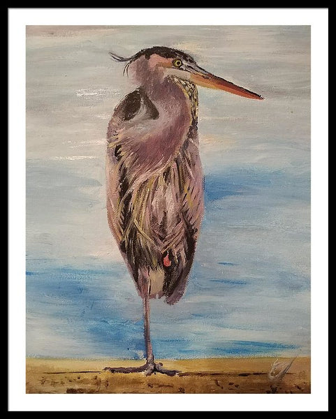 Custard Tries Meditation - Framed Print