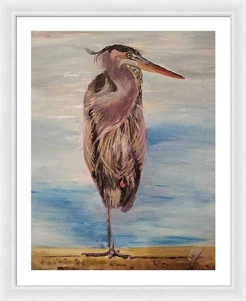 Custard Tries Meditation - Framed Print