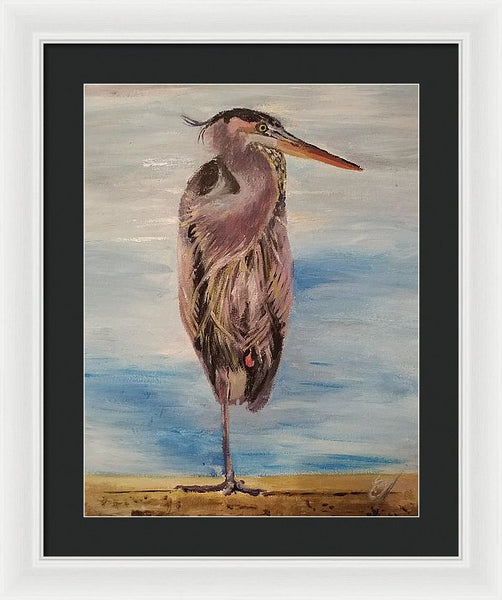 Custard Tries Meditation - Framed Print