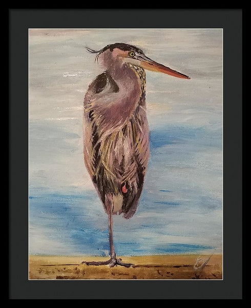 Custard Tries Meditation - Framed Print