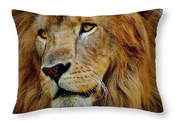 Throw Pillow - El Rey