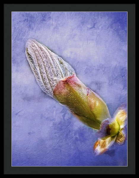 First Bud Of Spring - Framed Print