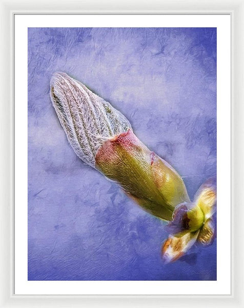 First Bud Of Spring - Framed Print
