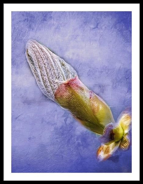 First Bud Of Spring - Framed Print