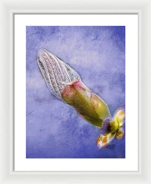 First Bud Of Spring - Framed Print