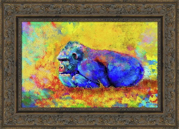 Gorilla - Framed Print