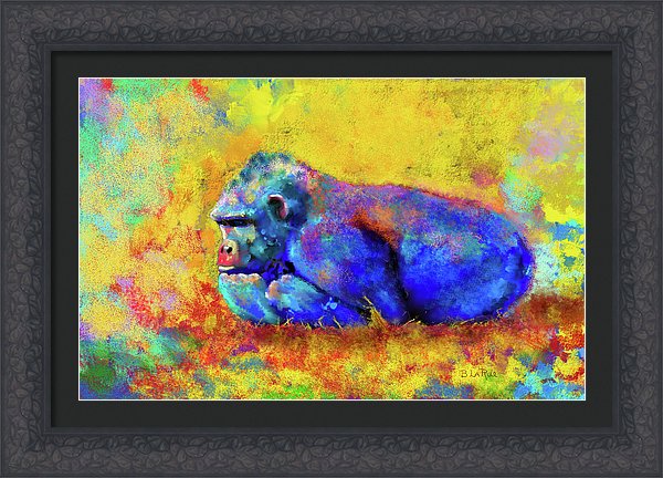 Gorilla - Framed Print