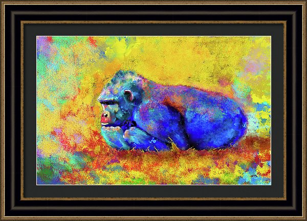 Gorilla - Framed Print