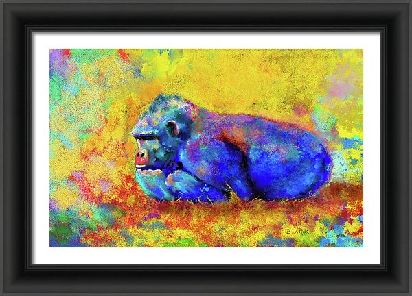 Gorilla - Framed Print