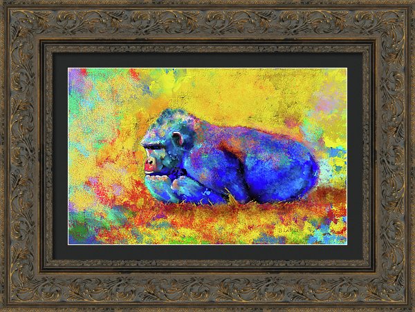 Gorilla - Framed Print