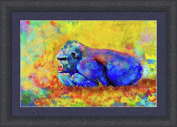 Gorilla - Framed Print