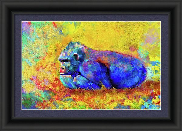 Gorilla - Framed Print