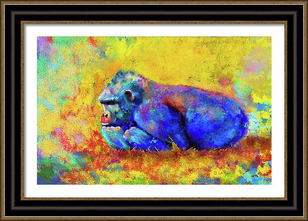 Gorilla - Framed Print