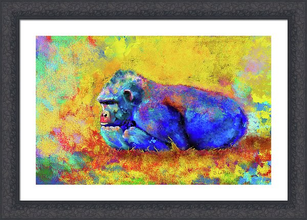 Gorilla - Framed Print