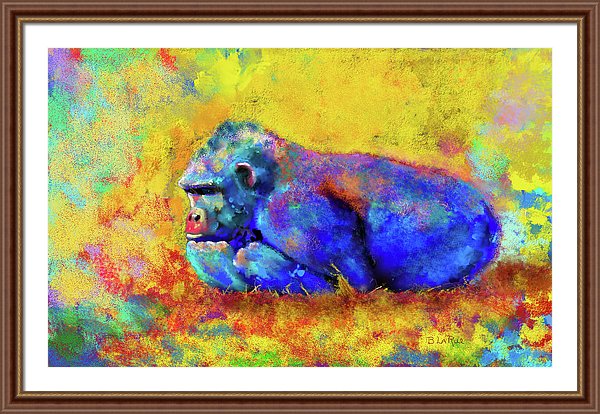 Gorilla - Framed Print