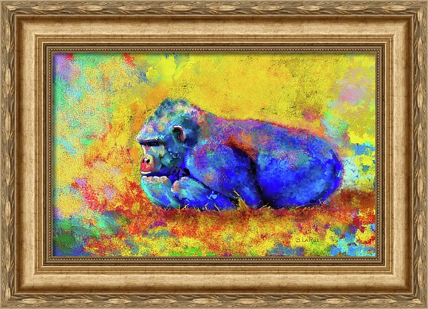 Gorilla - Framed Print