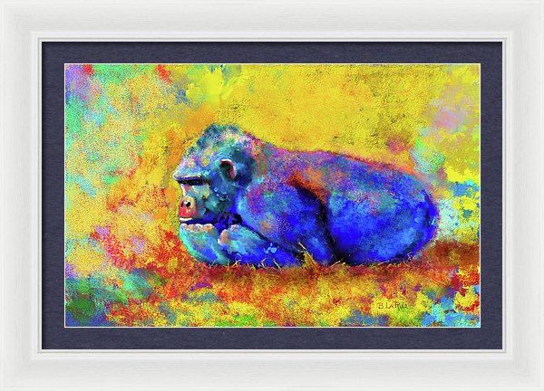Gorilla - Framed Print