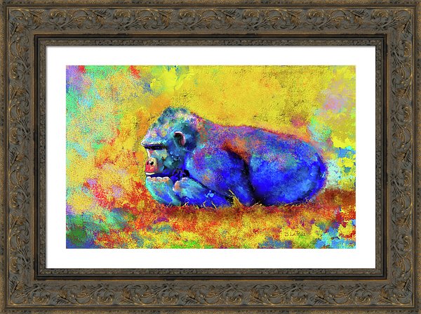 Gorilla - Framed Print