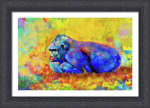 Gorilla - Framed Print