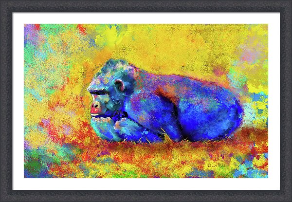 Gorilla - Framed Print