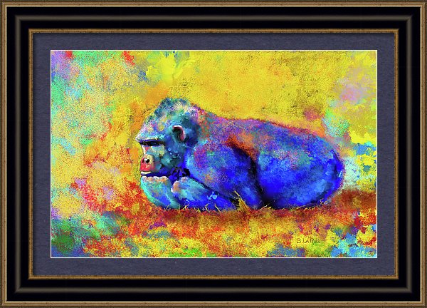 Gorilla - Framed Print