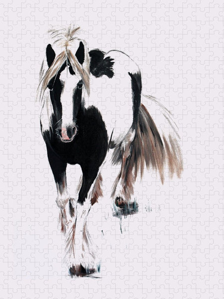 Gypsy Vanner - Puzzle