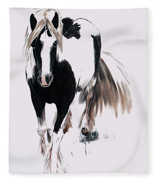 Gypsy Vanner - Blanket