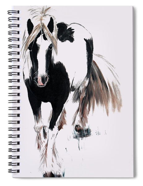 Gypsy Vanner - Spiral Notebook