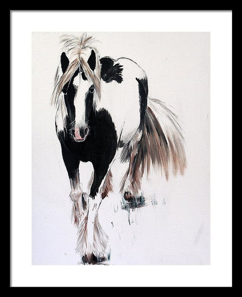 Gypsy Vanner - Framed Print