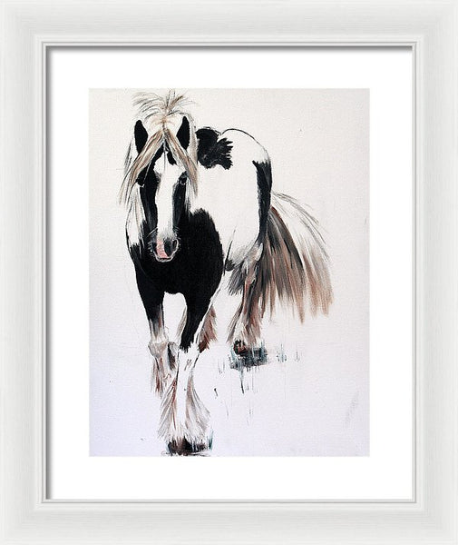 Gypsy Vanner - Framed Print