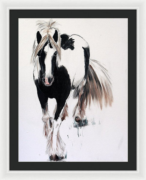 Gypsy Vanner - Framed Print