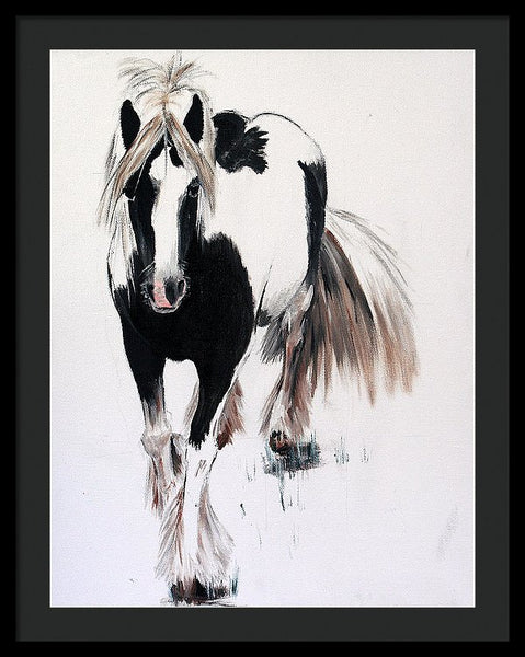 Gypsy Vanner - Framed Print