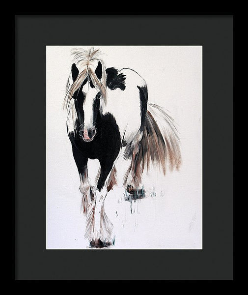 Gypsy Vanner - Framed Print