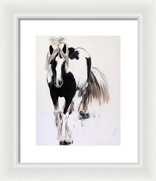 Gypsy Vanner - Framed Print