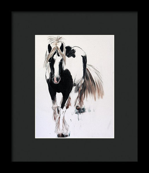 Gypsy Vanner - Framed Print
