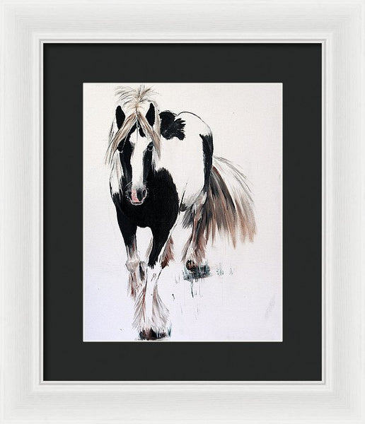Gypsy Vanner - Framed Print