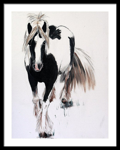 Gypsy Vanner - Framed Print