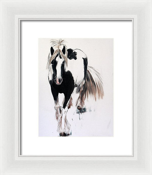 Gypsy Vanner - Framed Print