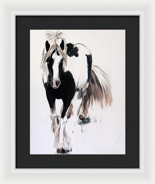 Gypsy Vanner - Framed Print
