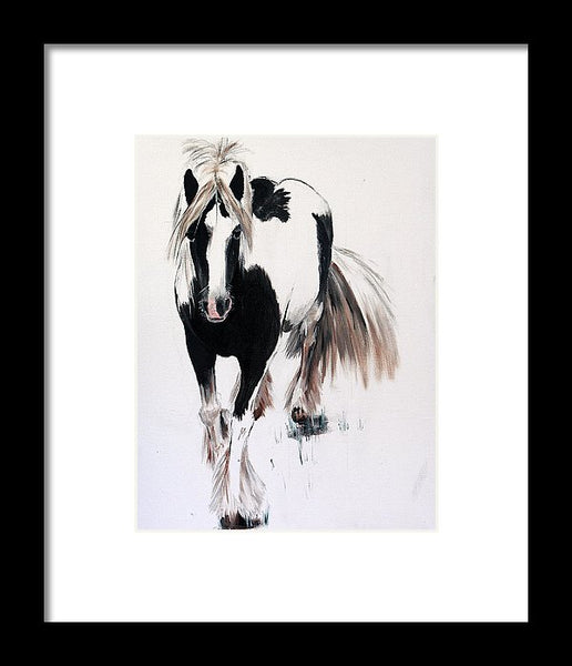 Gypsy Vanner - Framed Print