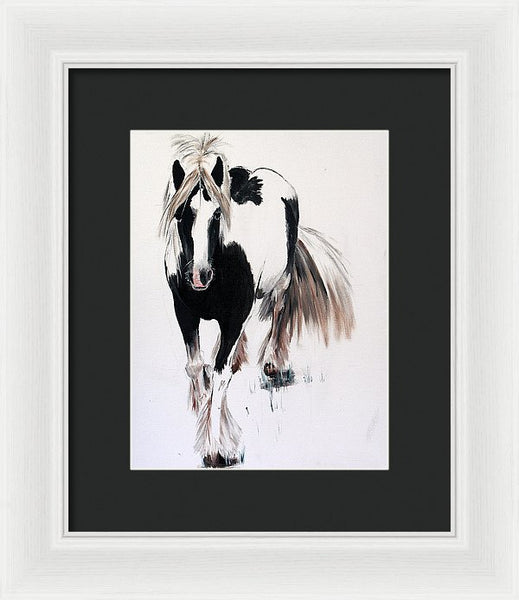 Gypsy Vanner - Framed Print