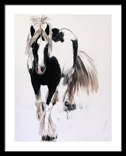 Gypsy Vanner - Framed Print