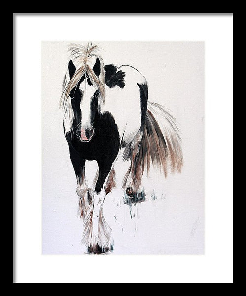 Gypsy Vanner - Framed Print