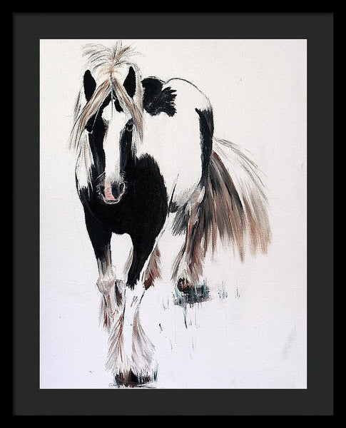 Gypsy Vanner - Framed Print