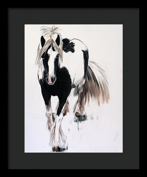 Gypsy Vanner - Framed Print