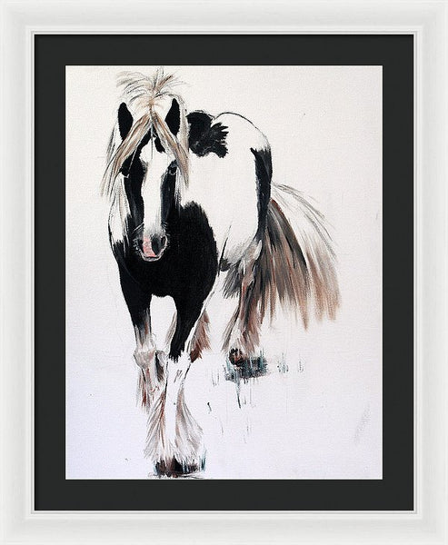 Gypsy Vanner - Framed Print
